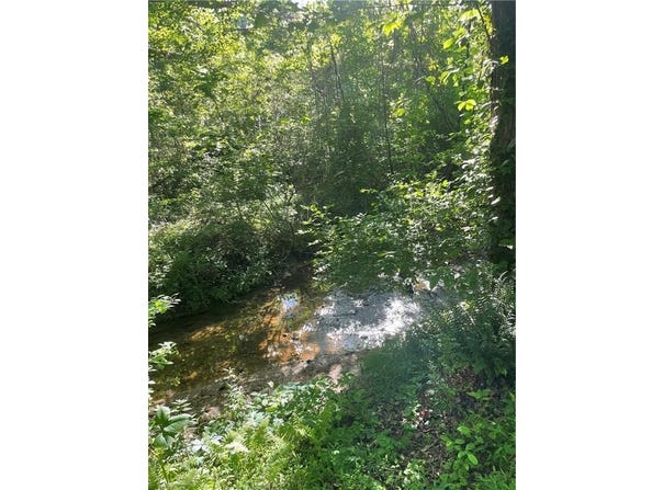 1584 Kennesaw Avenue, Nelson, GA 30151