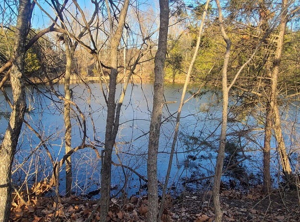 535, Morrisville, MO 65710