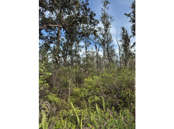 40TH AVE, Kurtistown, HI 96760