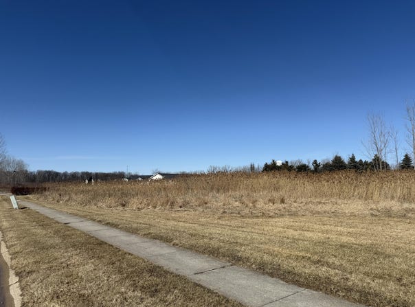 Orchard Street, Capac, MI 48014