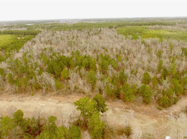 CR 2307 BEASLEY RD, Lone Star, TX 75668