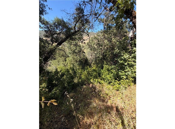 3403 Knob, Nice, CA 95464