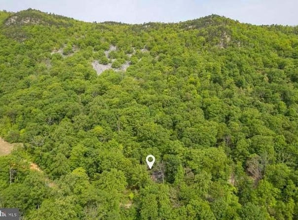 K57 & K68 FOREST EXT DRIVE, LURAY, VA 22835