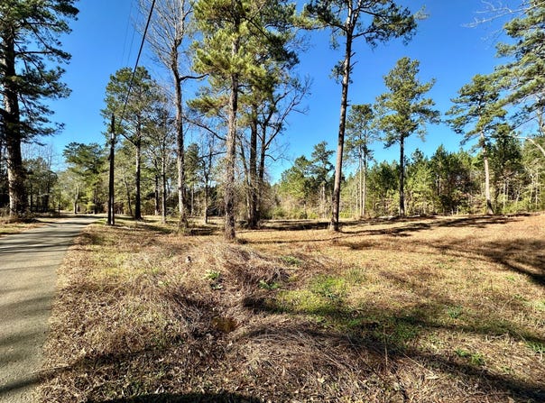 0 Rabbit Run Road, Many, LA 71449