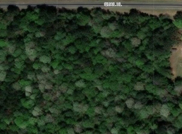 Quail Hill Road, Brandon, MS 39042