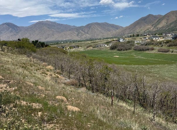 3361 S 400 W, Mapleton, UT 84664