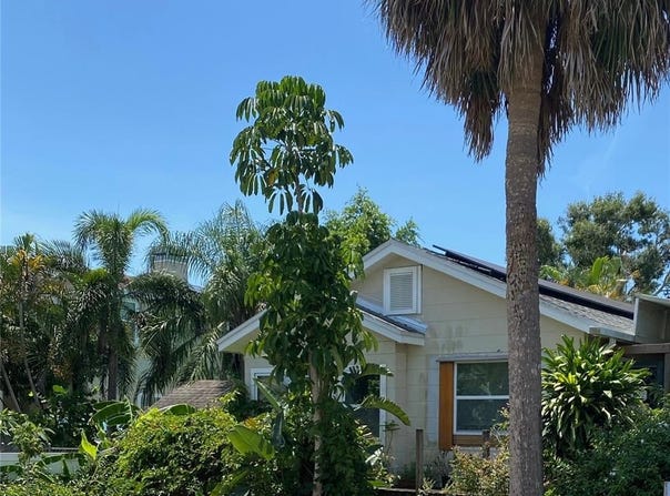 1420 36TH AVENUE N, ST PETERSBURG, FL 33704