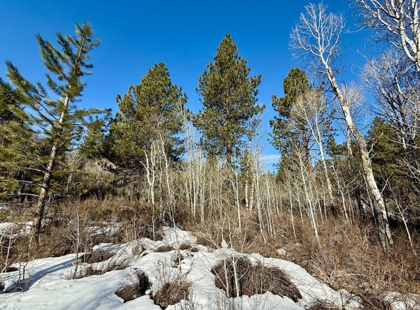 German Brown Ln., Chiloquin, OR 97624