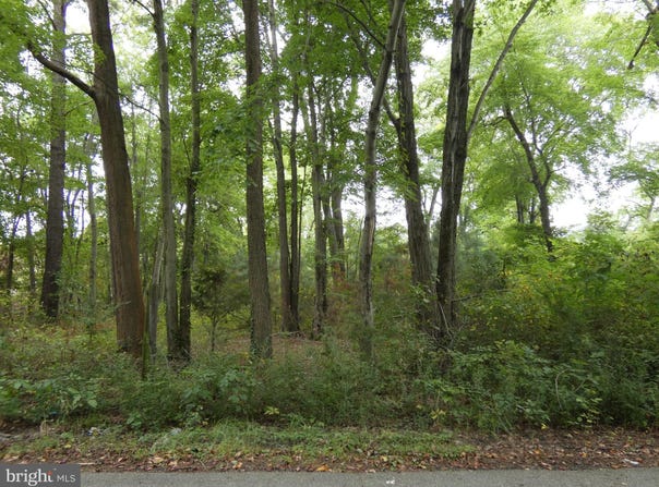 SHARP Street, ROCK HALL, MD 21661