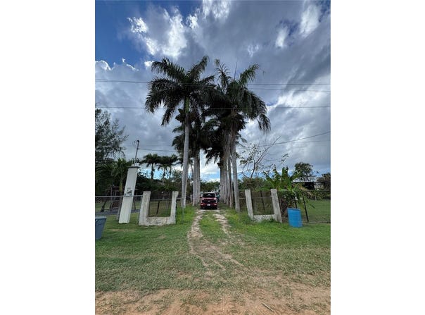 Bajuras CARR 446, ISABELA, 00662