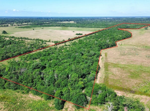 Pine Prairie Rd., Ashdown, AR 71822-0000