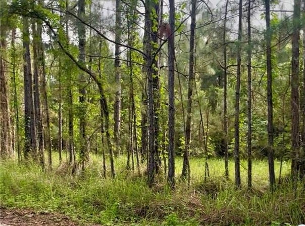 11400 Henderson Camp Road, Mobile, AL 36541