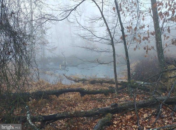 S TIMBER RIDGE ROAD, CROSS JUNCTION, VA 22625