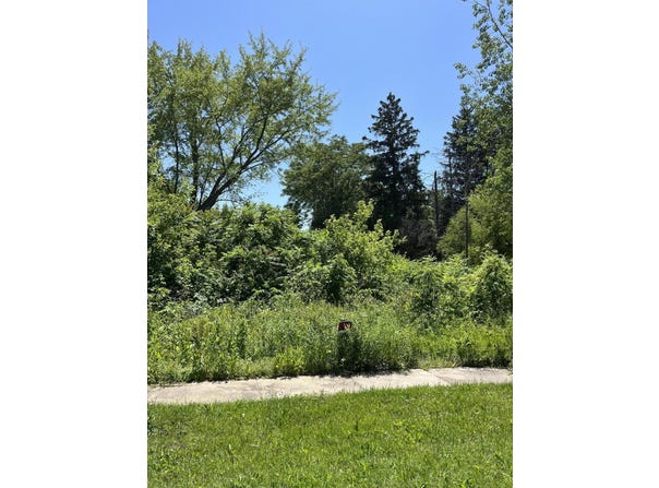 V/L West Street, Covert, MI 49043