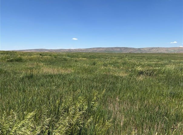38300 CATTAILS COURT, Hayden, CO 81639