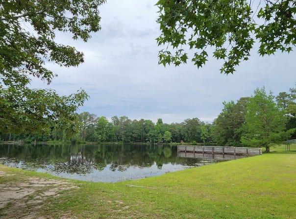 237 FOX RUN Drive, Hopkins, SC 29061