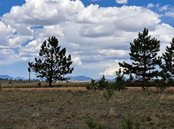 311 HAYSTACK ROAD, Hartsel, CO 80449