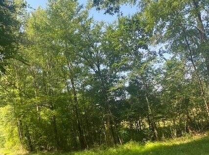 163 Haney Road, Pinola, MS 39149