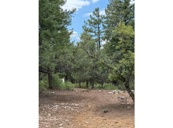 Lakeview, Chama, NM 87520