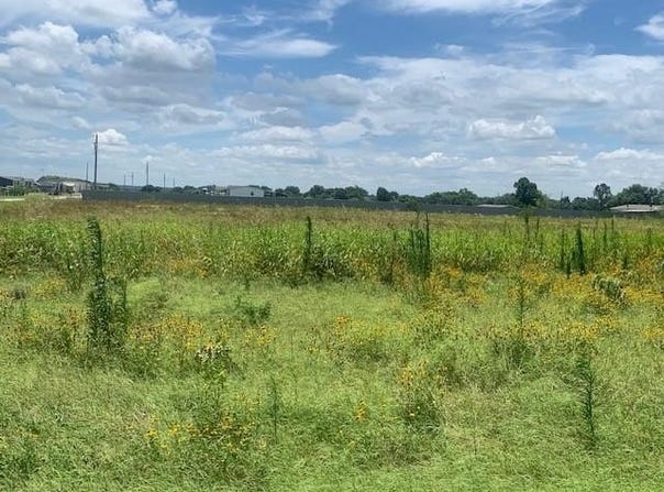12571 Gholson Road, Gholson, TX 76705