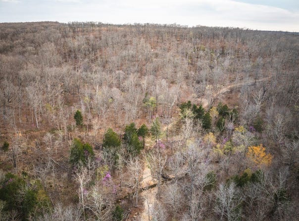 70 acres off Ray Hicks Road, Viburnum, MO 65566