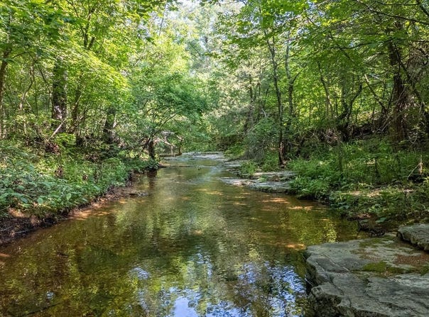 TBD Brown's Creek Road, Ravenden, AR 72459