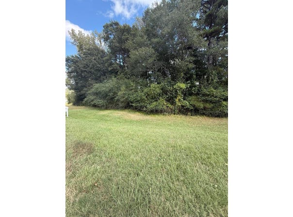 NW 6TH Ave, Fayette, AL 35555