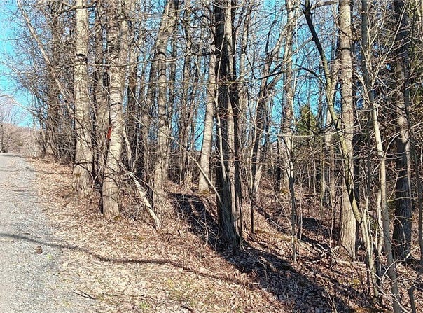 Davis Road, Stamford, NY 12167