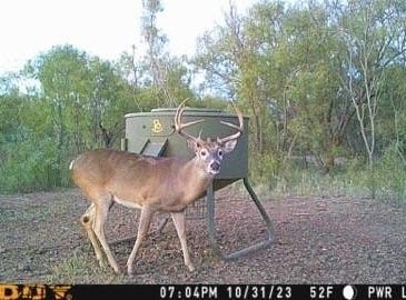 Tbd FM 540, No City, TX 79520