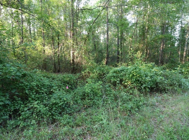 0 Kings Mill Road Tract C, Wrens, GA 30833
