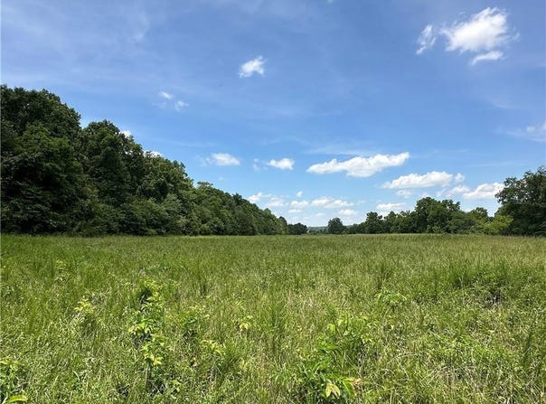 599 Back Bone  RD, Evening Shade, AR 72532