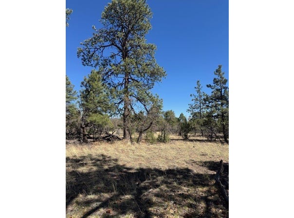 Tbd Doe Run, Los Ojos, NM 87520
