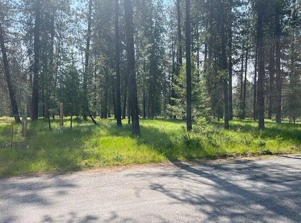 203 EAGLE DR, CHEWELAH, WA 99109