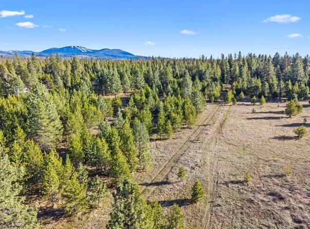 12818 BRIDGES RD, ELK, WA 99009