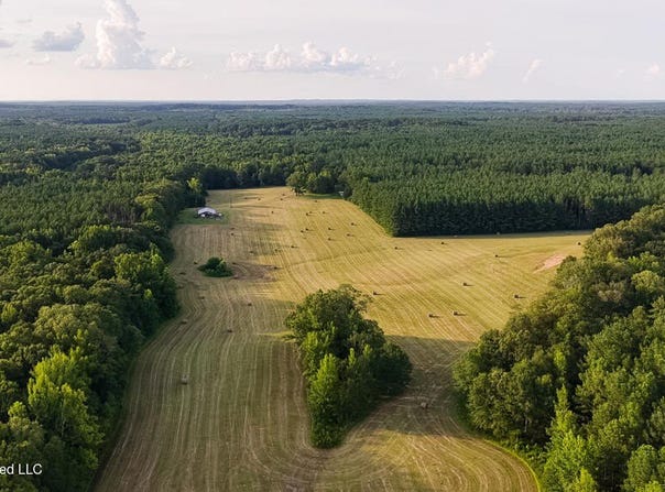 214 Cook Cobb Road, Camden, MS 39045