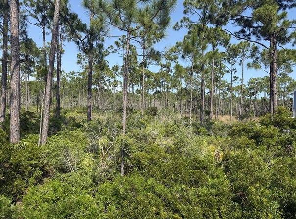 Lot 6 SR 30-A, Cape San Blas, FL 32456