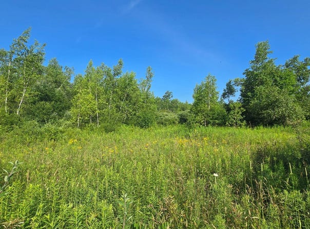 00 County Route 15, LaFargeville, NY 13656
