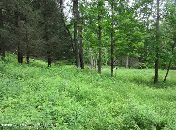 Airport Rd, Lot #4, Lexington, NY 12452