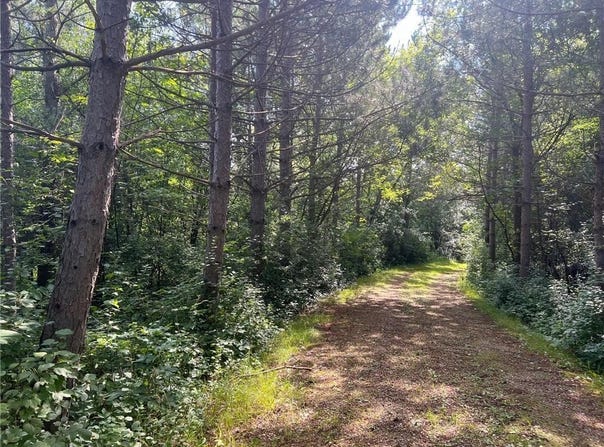Tbd Polk Street NW, Elk River, MN 55330