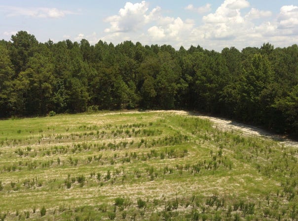 829 0 Whittington Road, Bunnlevel, NC 27244
