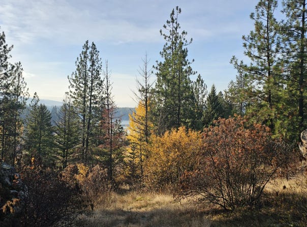 125 Tracker Way, Priest River, ID 83856