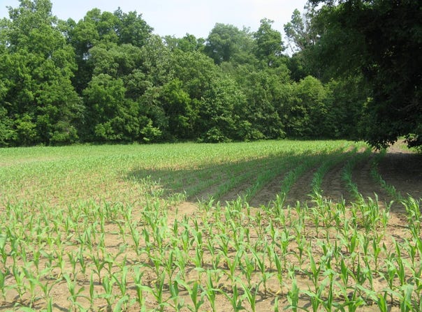 1250 E Co Road1100 S, Clay City, IN 47841