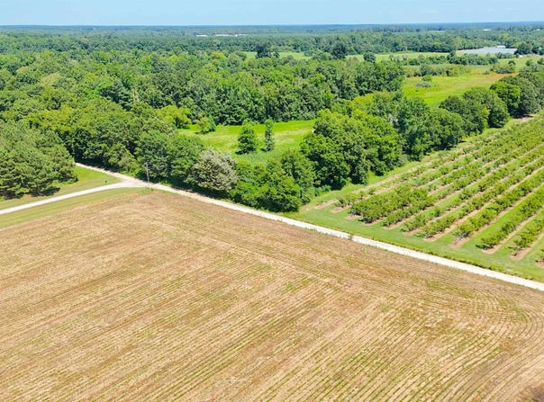 0 Joes Trail, Monetta, SC 29105