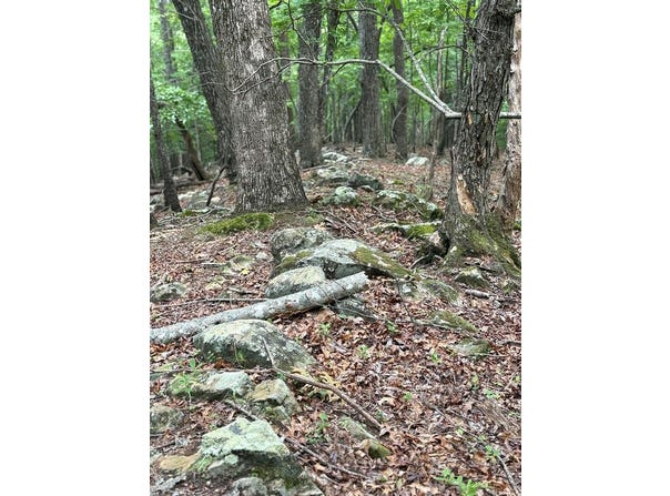 Walker Drive, Morganton, GA 30513