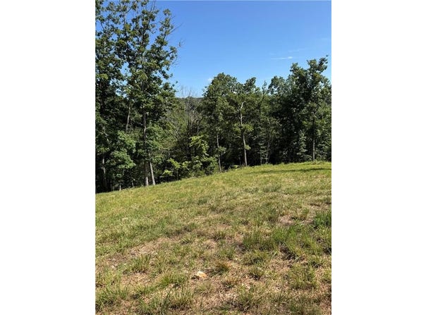 0 TBD Beaver Hollow  RD, Garfield, AR 72732