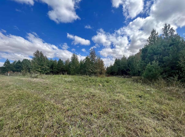 Hwy. 49, Brookland, AR 72417-0000