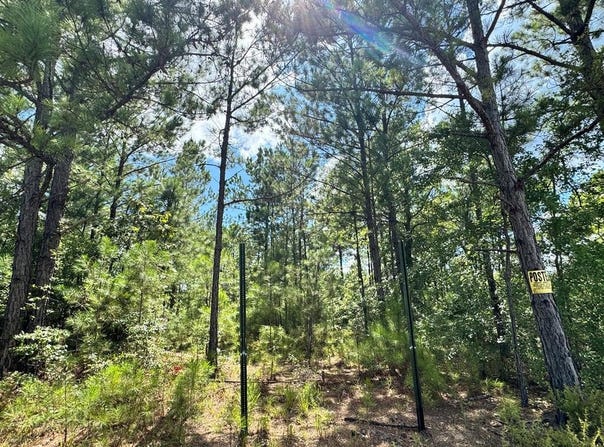 410 FIRETOWER ROAD, CUSSETA, GA 31805