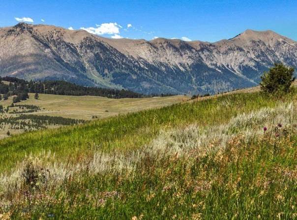 Bridger Vista lot: 8 Tbd, Bozeman, MT 59715