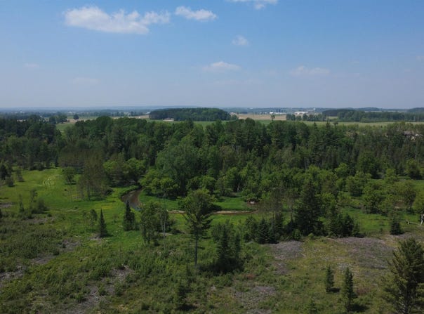 x Oleskie Trail, West Branch, MI 48661