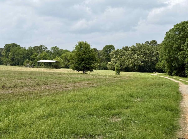 Private Road 7407, Brownsboro, TX 75756